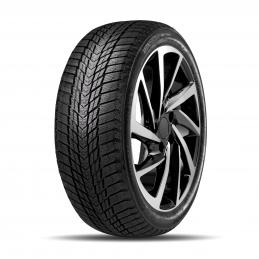 Roadstone Winguard Ice Plus 235/55R17 99T